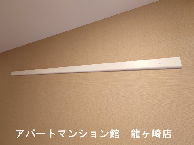 Pure Houseのその他