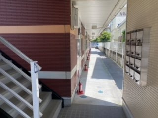 レオネクストル　コフレのその他