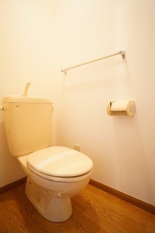 メゾン・ドリームＡのトイレ|トイレです