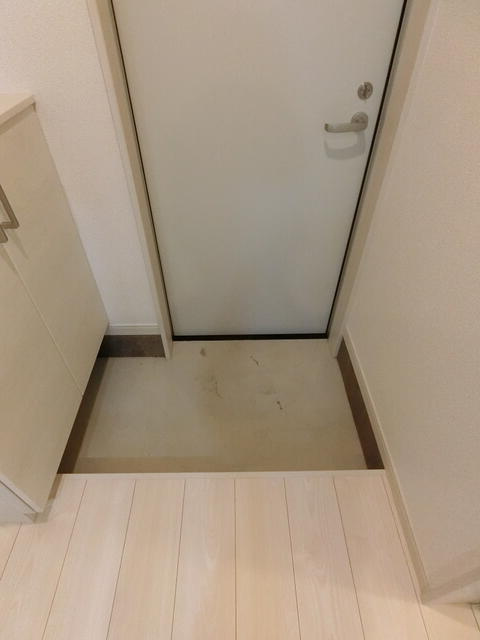 ラコリーヌ生田の玄関