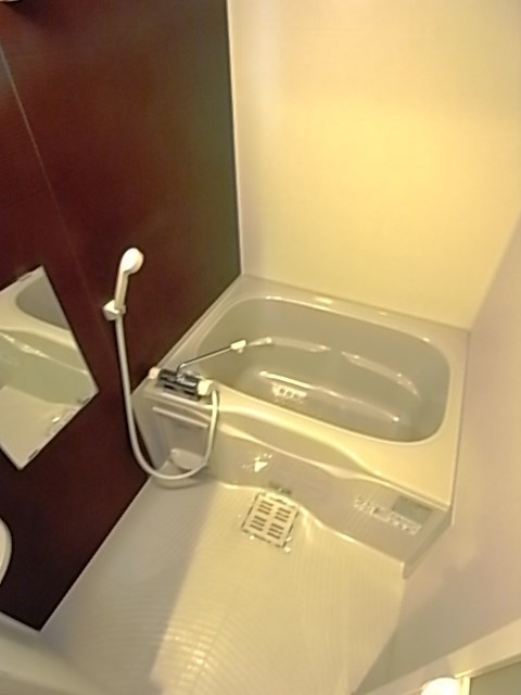 フジパレス宝塚南Ⅰ番館の浴室