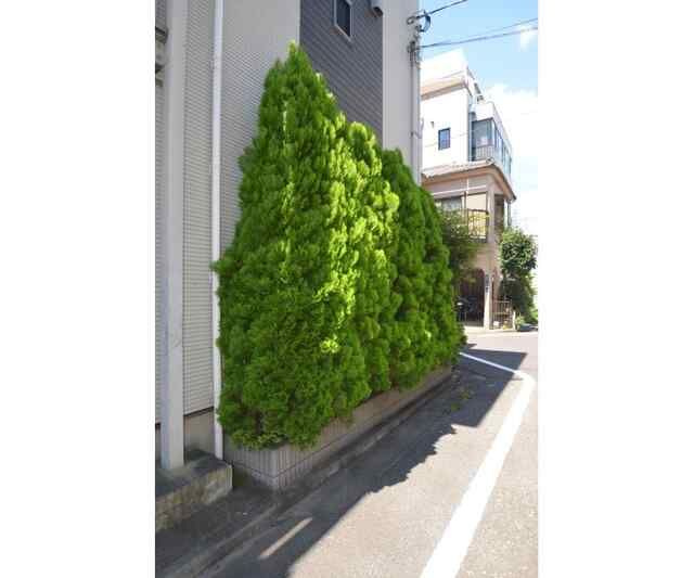 フォレストメゾン駒込のその他