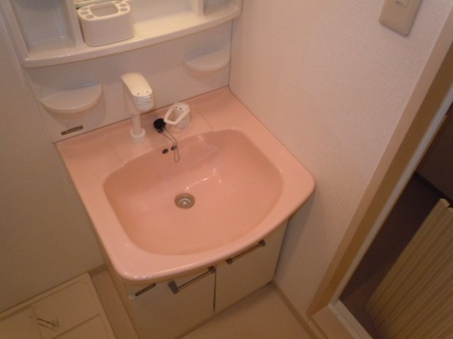 名古屋市中区丸の内３丁目の賃貸マンションの洗面所