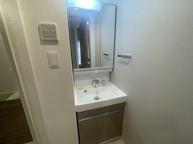 S-RESIDENCE高井田beletaの洗面所