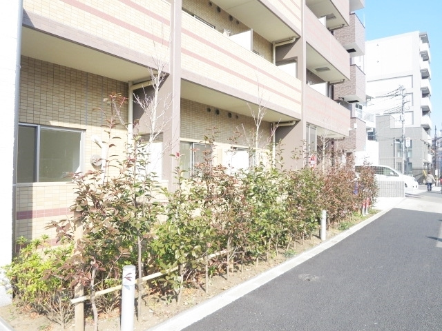 メインステージＴＯＫＹＯ・ＮＯＲＴＨ ＨＹｓのその他|緑のあるエントランス部分です♪