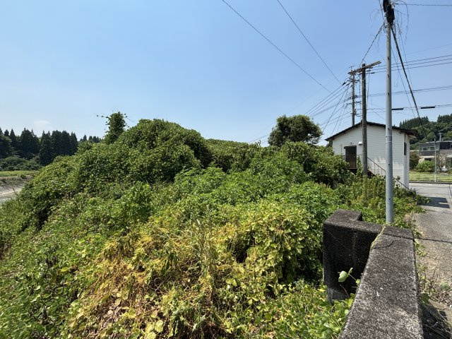 【周辺】 | 宇城市小川町西海東
