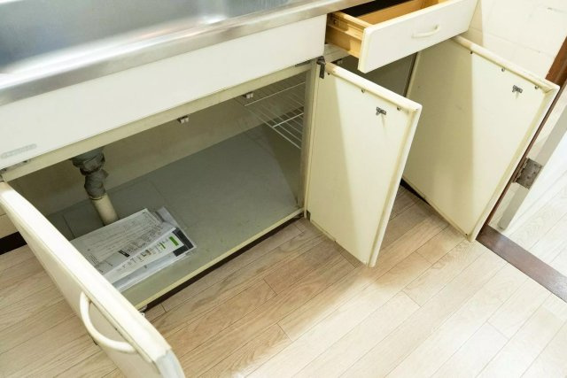 AP975 メゾン・ド・目白台 703の収納|




