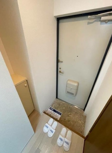 柏市柏２丁目の賃貸マンションの玄関