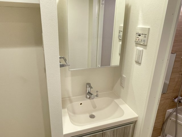 ティモーネグランデ錦糸町の洗面所