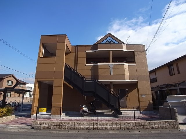 カモミール喜光