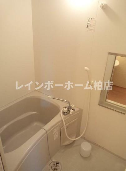 特典：仲介手数料が無料です!!の浴室