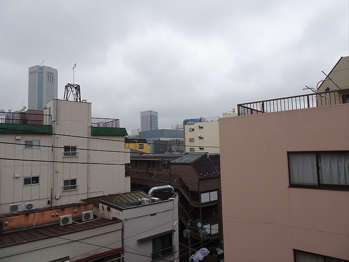 ラ・セリーヌ壱番館の展望