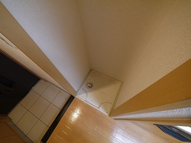 カモミール喜光のその他