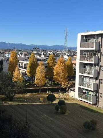 富士見町住宅35号棟の庭