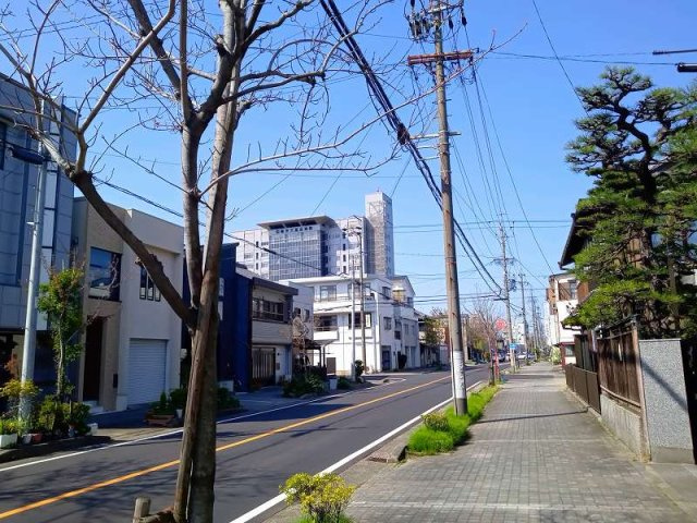 レオネクスト大江の周辺
