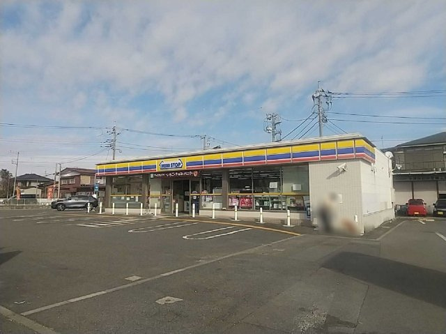 レオパレスアメニティの周辺