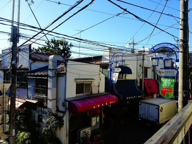 【展望】 | ステラ
