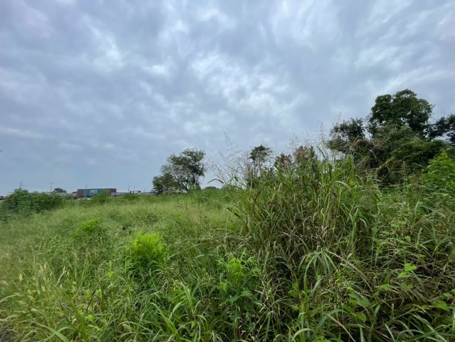 -三丁目不動産-　深谷市長在家　国道沿の外観