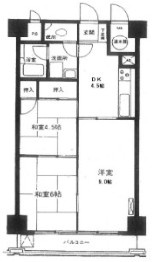 ライオンズマンション初台の間取り