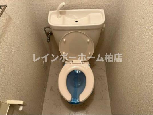 特典：仲介手数料が無料です!!のトイレ|落ち着いたトイレです