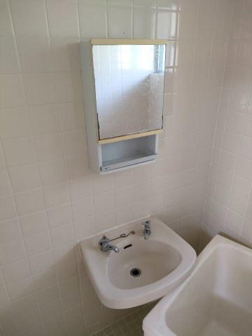 カレッジサイド平安の洗面所