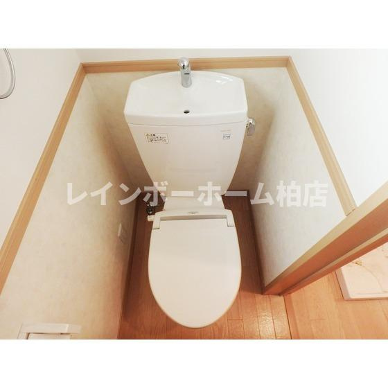 特典：仲介手数料が無料です!!のトイレ|落ち着いたトイレです