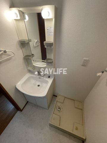 メゾン共立通の洗面所
