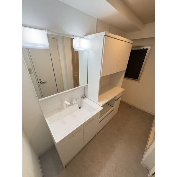 ADW Residence 谷町四丁目(旧アプリコ)の洗面所