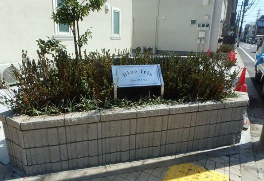 ブルーアイリスのその他