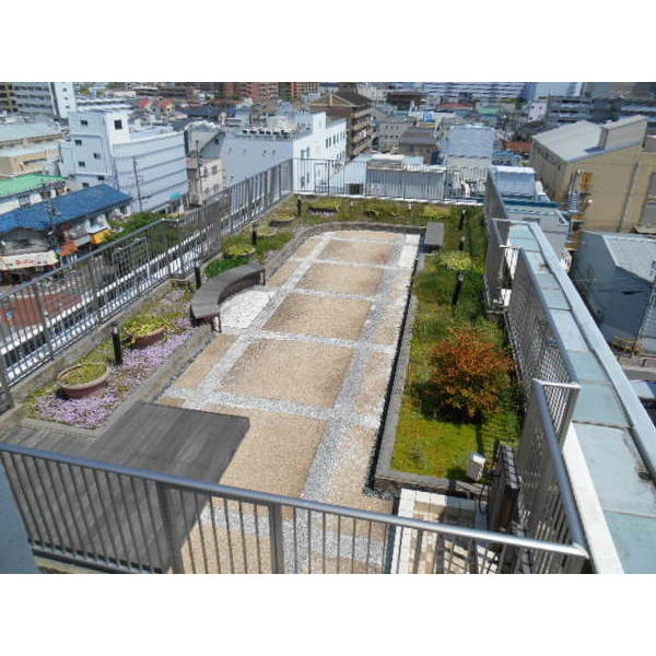 デイグラン鶴見の庭|デイグラン鶴見　ドッグラン