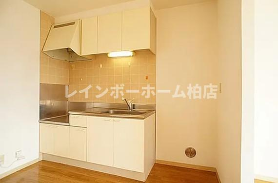 特典：仲介手数料が無料です!!のキッチン|キッチンでお料理をお楽しみください