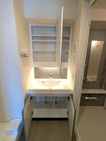 ライトハウス元浅草の設備|トイレと独立した洗面脱衣室、2面鏡付洗面台、タオルフックにスマホストレージ付きです、洗濯機置場は排水口のお手入れしやすい様に手前中央に配置し、足高の防水パンです