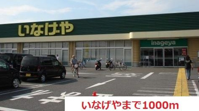 【その他】 | パームツリー