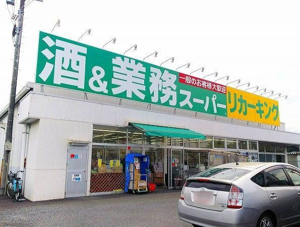 【その他】 | パームツリー