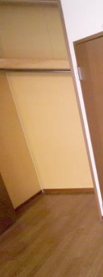 ドリームハイツ・サムの収納|※別部屋参考写真