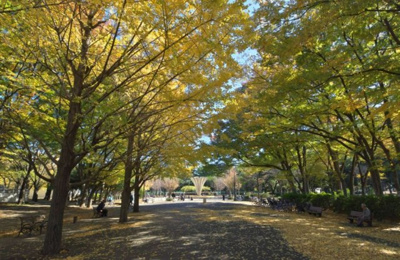 【周辺】 | 板橋区高島平8丁目　新築戸建　7380万円 | 都立赤塚公園