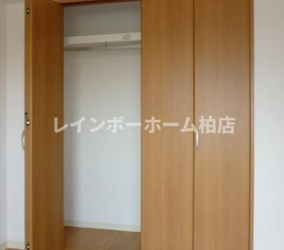仲介手数料（賃料の1.10ヵ月）の50％OFF対象物件！の収納|たっぷりとした収納スペースです