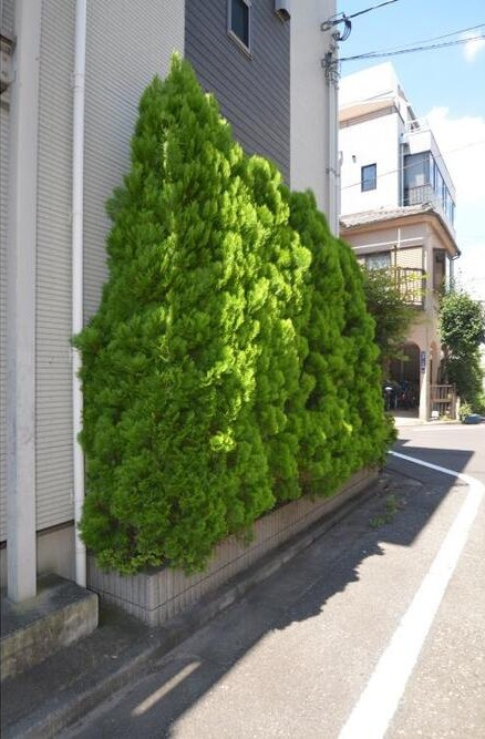 フォレストメゾン駒込のその他
