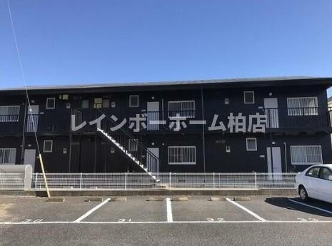 特典：仲介手数料が50％OFFです‼のその他共用部分