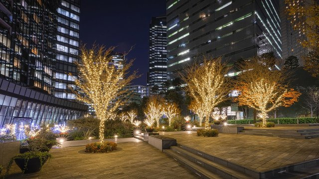 【庭】 | セントラルパークタワー・ラ・トゥール新宿
