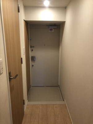 【玄関】 | パークナードフィット南青山Ｖｉｓｔａ | ※写真は同タイプ住戸です。