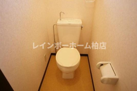 特典：仲介手数料が50％OFFです‼のトイレ|コンパクトで使いやすいトイレです