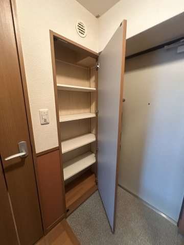 カラコレスⅢの収納