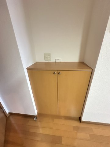 カラコレスⅢの収納