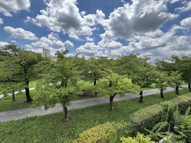 の-の画像