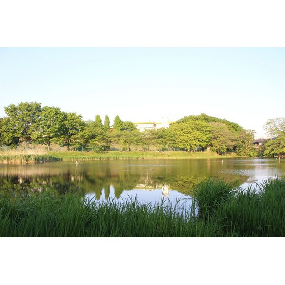 スカイピア浦和の周辺|公園「白幡緑道まで1453ｍ」