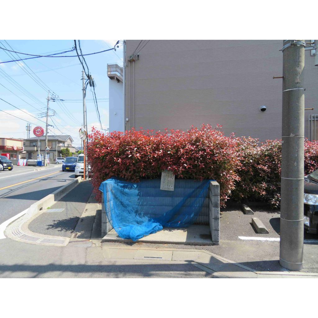 プリームラのその他