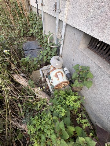 【その他】の画像