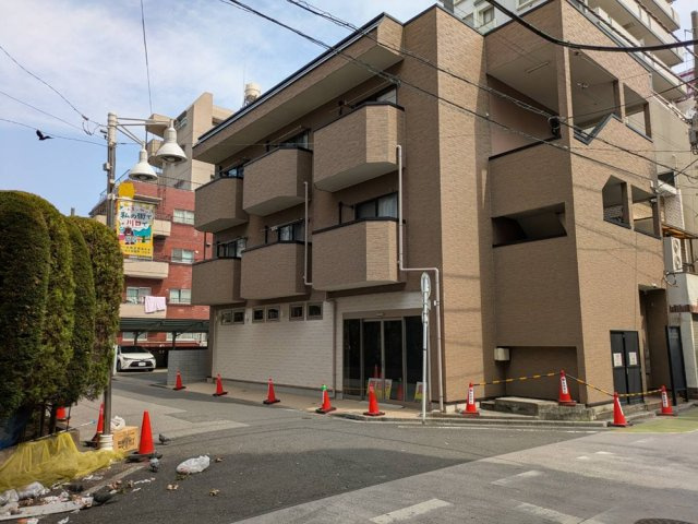 メイプル並木の画像