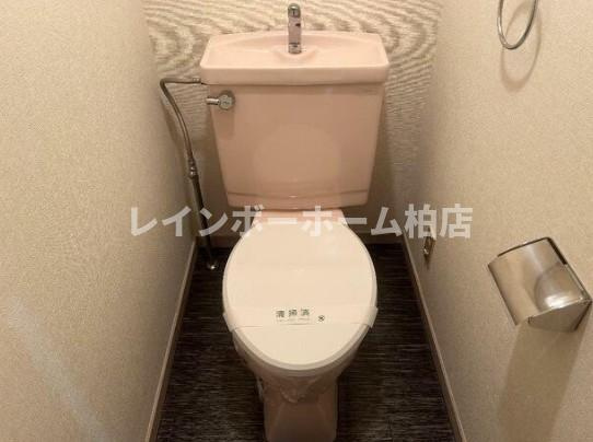 特典：仲介手数料が無料です!!のトイレ